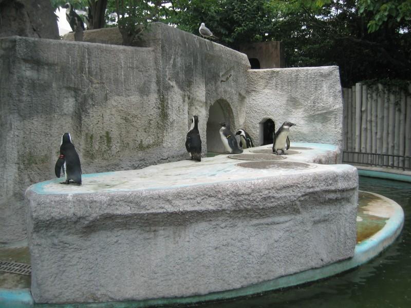 上野动物园 搜狗百科 上野动物园 搜狗百科