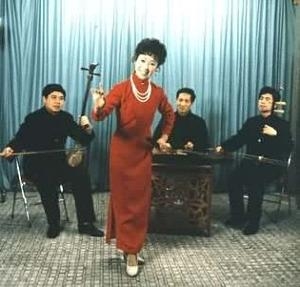  河南坠子