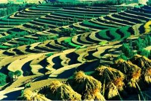 25度以下坡耕地
