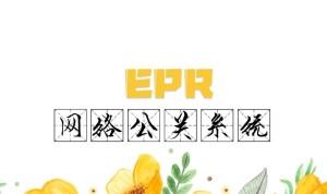 EPR系统