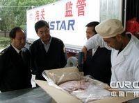 动植物检疫工作人员检疫猪肉