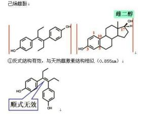 雌性激素