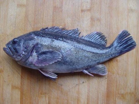 鳃盖骨鳍条数5-13. 许多种生活在超过1000m的水层.