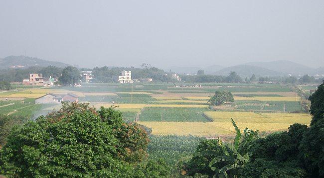 黄埔洋田村图片