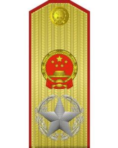 中国现任大将军衔图片