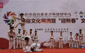 彭水县文化活动