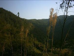 风景区