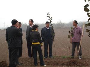 科技人员指导三嘉乡农民种植苹果