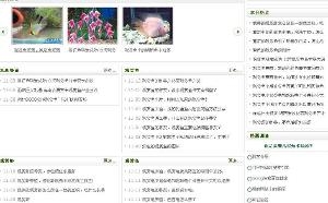 观赏鱼