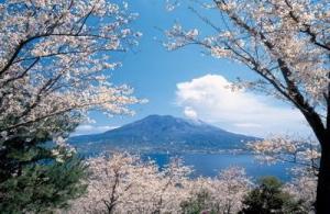 樱岛火山