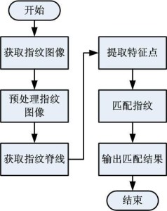 指纹识别