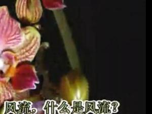 风流歌
