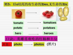 单复数同形 _ 百科