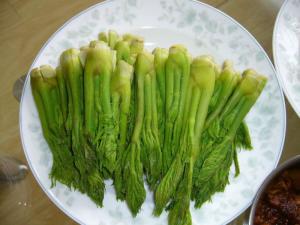 刺老芽
