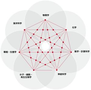 研究交叉方向