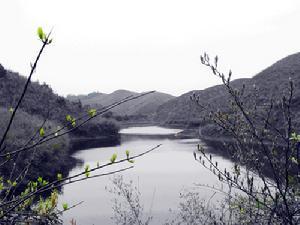 青山界风光