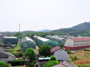 江镇镇