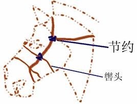 辔头 - 搜狗百科