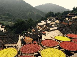 篁岭