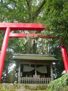 日本和歌山县徐福神社