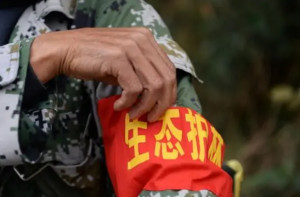 护林员