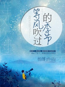 风的季节原唱日语版 300