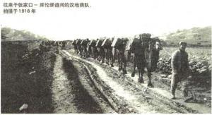 1918年来往于张库大道的商队