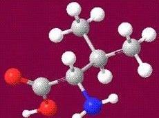 必需氨基酸 必需氨基酸