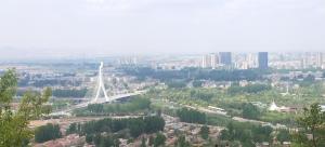 新泰