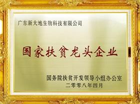 国家扶贫龙头企业