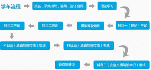 学车流程