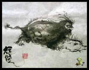 旋龟图册