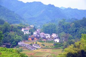 天堂村
