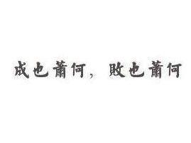 成也萧何,败也萧何