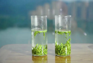 庐山云雾茶