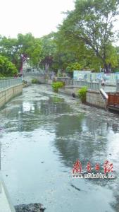 2013年8月15日雨后的荔枝湾