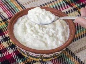 保加利亚乳杆菌