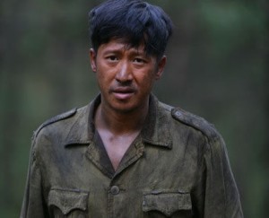 迷龙