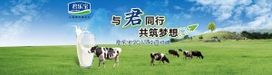君乐宝