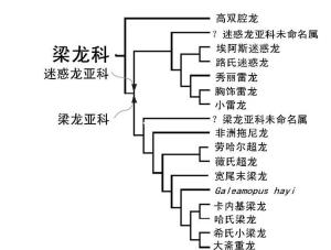 梁龙科物种