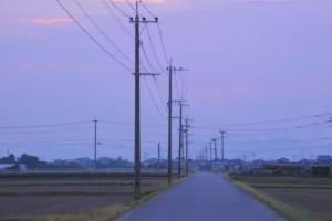 电线杆