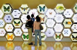 蜂巢展柜