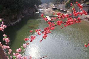 钓鱼台风景名胜区