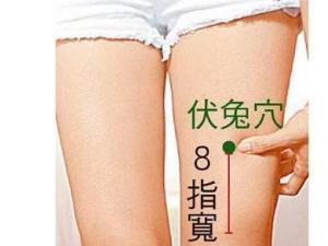 伏兔穴