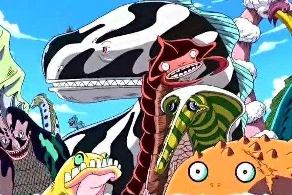 海王类 海贼王 中的角色 搜狗百科