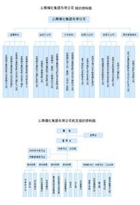 组织结构