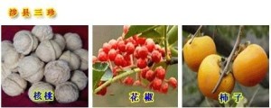 涉县农产品
