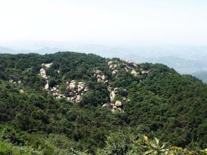 铧子山林场图册