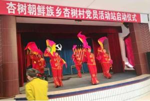杏树朝鲜族乡杏树村党员活动站启动