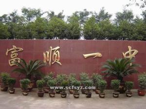学校大门